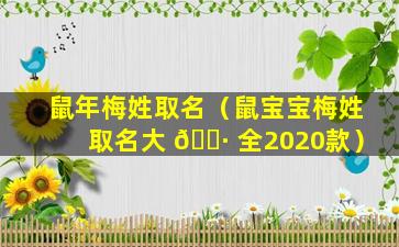 鼠年梅姓取名（鼠宝宝梅姓取名大 🕷 全2020款）